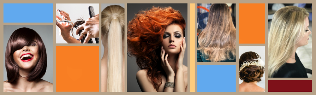 collage of beautiful hair by Susan's Mobile Hair Studio